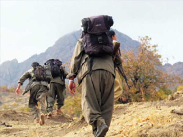Hakkari'de 7 PKK'lının cesedi bulundu