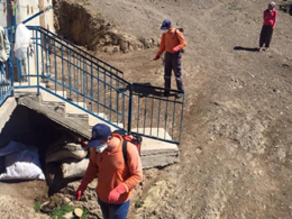 Pozantı'da keneyle mücadele için ilaçlama yapıldı