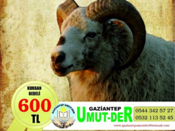 Umut Der kurban kampanyasını başlattı