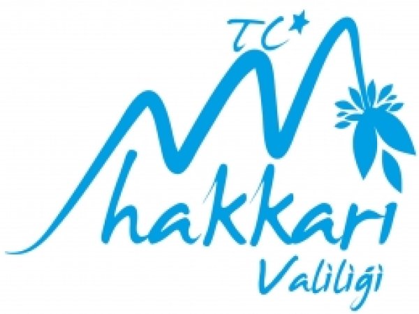 Hakkâri'de silah ve mühimmat ele geçirildi