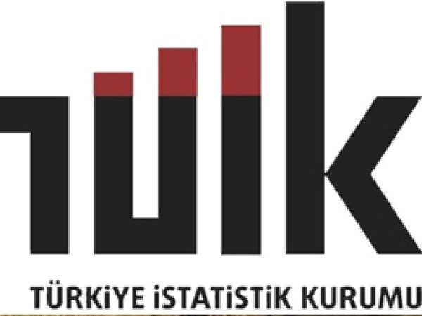 TÜİK TRC-3'ün üretim istatistiklerini açıkladı