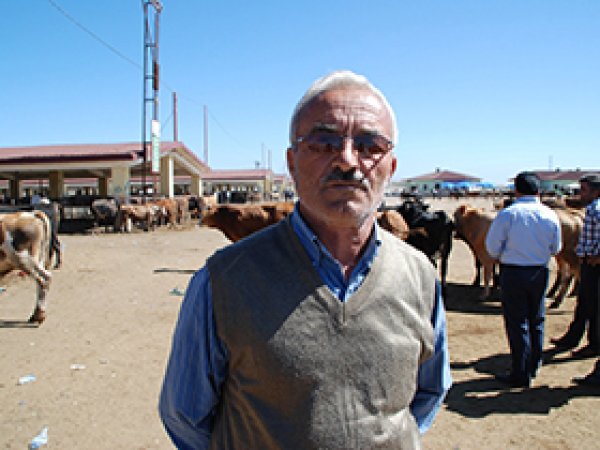 Kurbanlıklar otomobil fiyatlarıyla yarışıyor