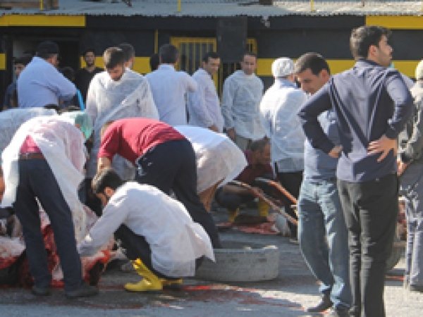 Suruç'ta kurban kesimi kazası:1 ölü