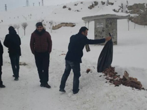 Van'da sokak hayvanları için yiyecek bırakıldı