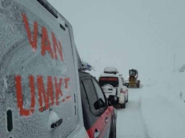 Van'da çifte hasta kurtarma operasyonu