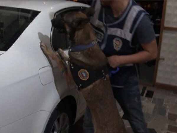 4 ilde dev uyuşturucu operasyonu