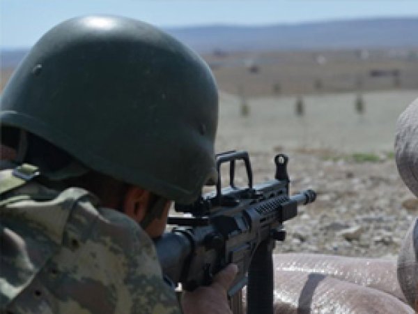 Muş'ta 1 PKK'li öldürüldü