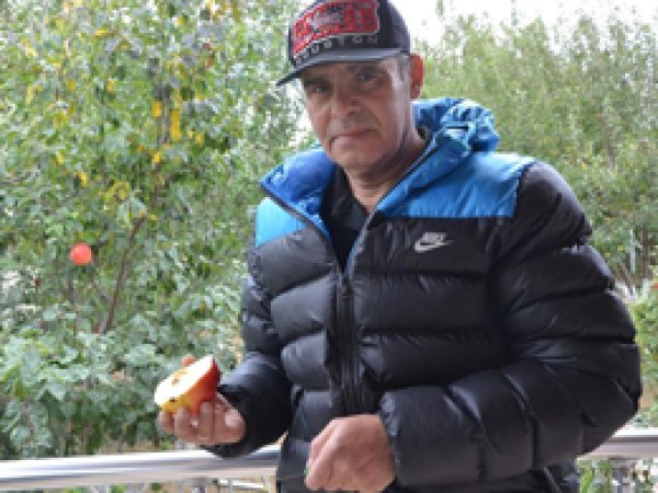 Ayva ve elmaya benzeyen meyve