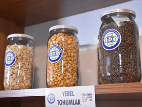 Muğla'da 'Yerel Tohum Merkezi' açıldı