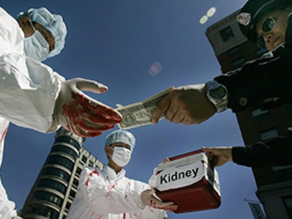 Mısır'da organ mafyasına büyük darbe