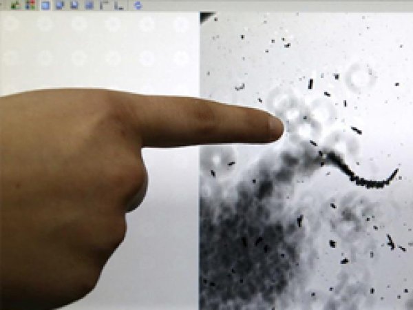 Türkiye'nin ilk nanomotoru üretildi