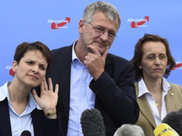 'AFD Almanya'da sosyal yardımı kaldıracak'
