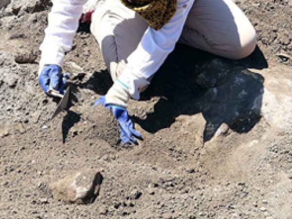 230 milyon yıllık ayak izi fosili bulundu