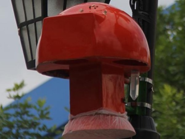 Sivrisinekleri avlamak için yeni yöntem