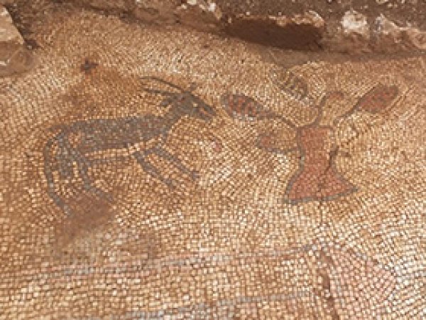Adıyaman'da 1500 yıllık mozaikler bulundu
