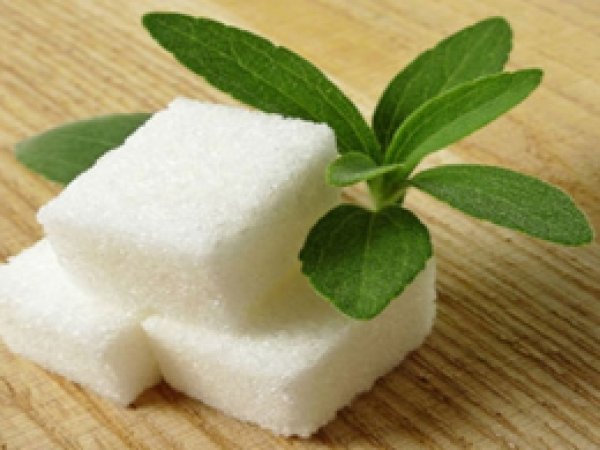 Şekerden 200 kez daha tatlı bitki: stevia