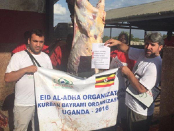 IHO-Ebrar 3 kıtada kurban eti dağıttı