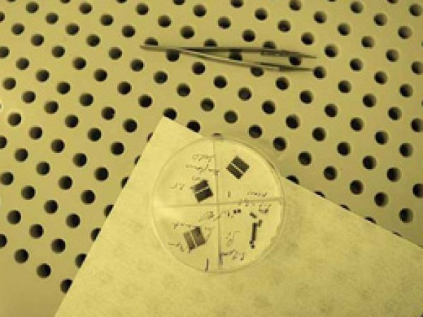 Elektronik devre tasarımında devrim