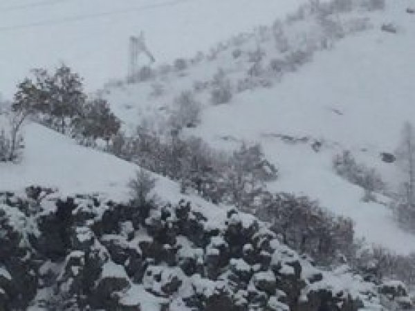 Bitlis’te 2 asker hayatını kaybetti