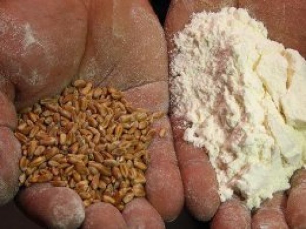 Türkiye un ihracatında dünya rekoru kırdı