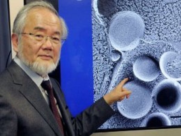 Nobel ödüllü bilim adamından 'oruç' ispatı
