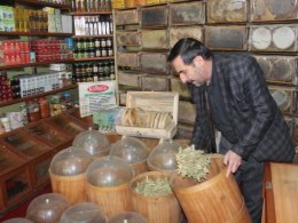 Ihlamurun fiyatı cep yakıyor