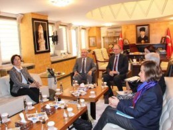 AB heyeti Mardin’de