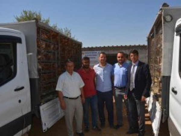 Viranşehir'de 4 tavuk çiftliği kuruldu