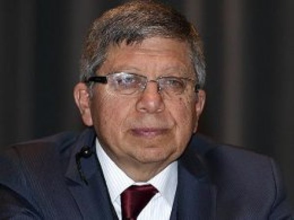 Almanya'nın 'Almanyalı Osmanlılar' raporuna Çevik de girdi