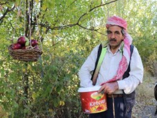 Bahçe sahibinden 'göz hakkı sepeti'