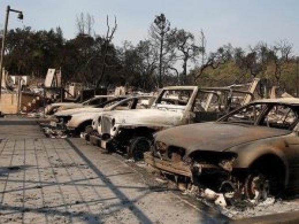 California'daki yangının zararı 1 milyar dolar