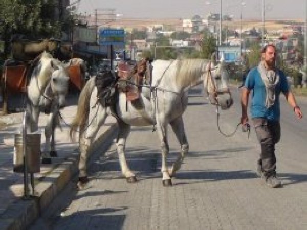 Polonya'dan Kudüs'e gitmek için 10 aydır at sırtında