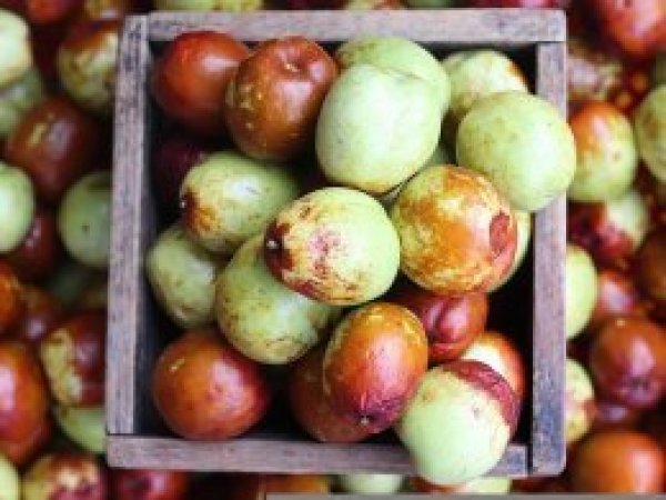 'Ölümsüzlük meyvesi' dertlere derman olacak