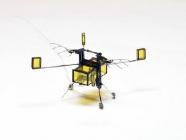 Suya dalıp çıkabilen robot arı üretildi
