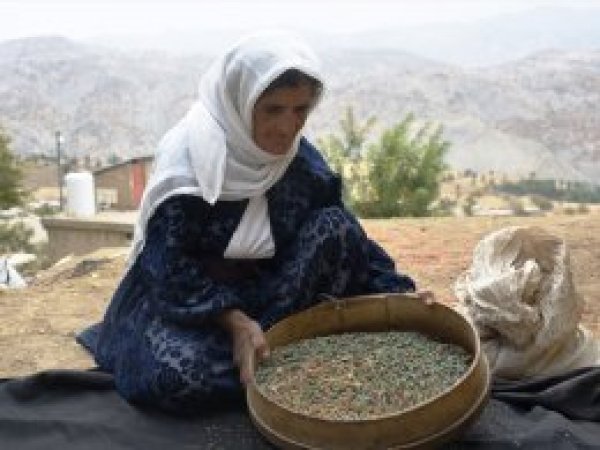 Ekmeğini taştan çıkaran anne