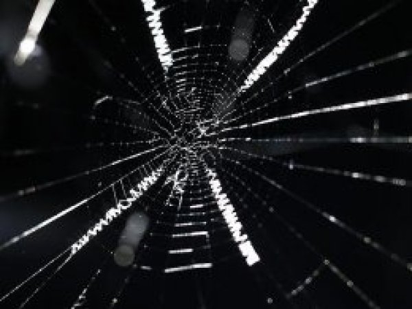 Örümcek ipeğinden hassas işitme cihazı 