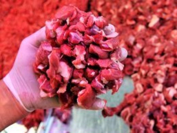 'Ucuz et'e hafta sonu tüm illerde ulaşılabilecek