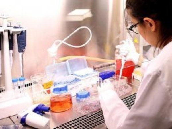 Kendi kendine oluşabilen DNA zincirleri