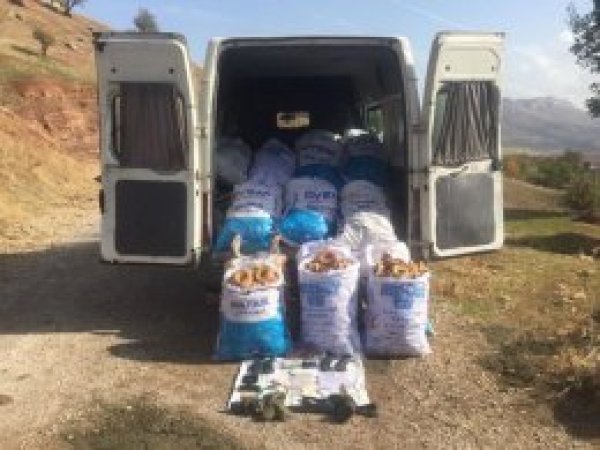 Lice'de bir PKK'li öldürüldü