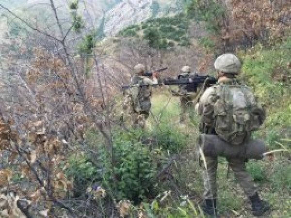 Üst düzey 2 PKK'li öldürüldü