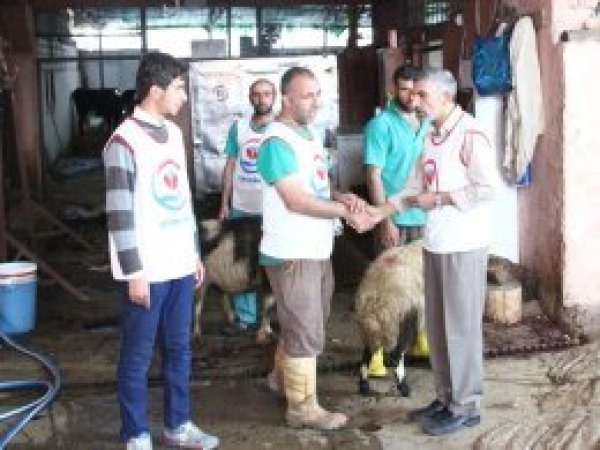 Yetimler Vakfından yetimlere et yardımı
