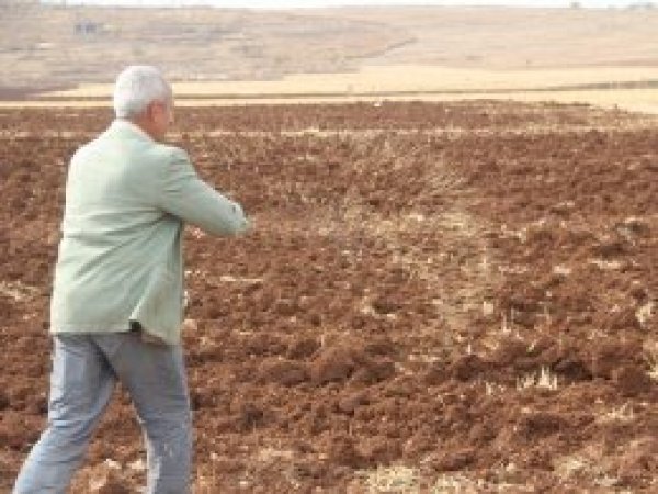 Ekinlerini toprağa atan çiftçiler yağmuru bekliyor