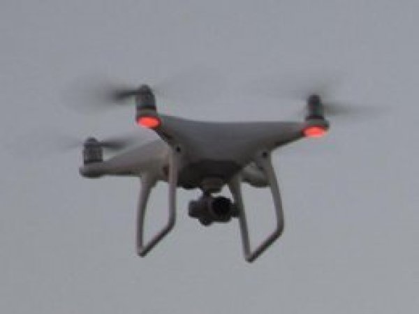 Uçaklar için 'drone'lar kuşlardan tehlikeli