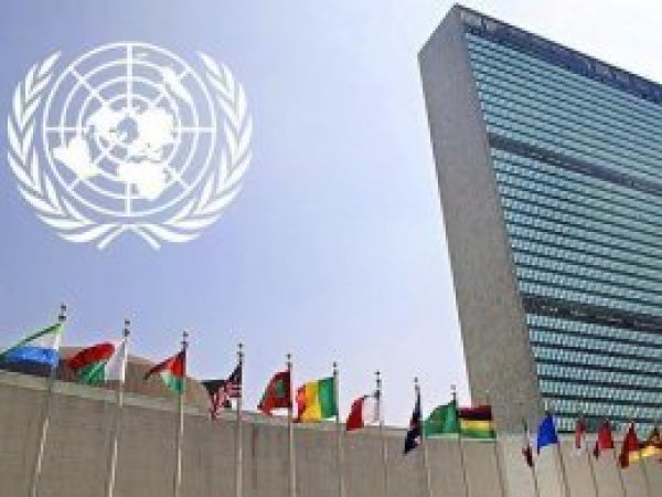 Birleşmiş Milletler, Arakan önergesini kabul etti