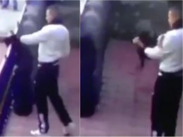 TSK kediye işkence eden askere disiplin cezası verdi