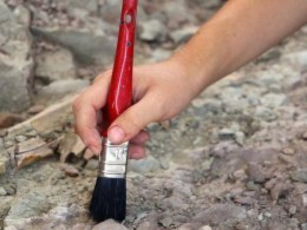 En eski yosun fosili 1 milyar yaşında