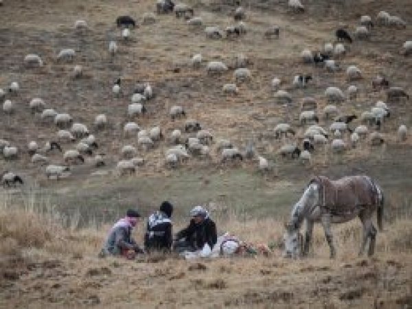 Doğu'da yayla hasreti sona eriyor