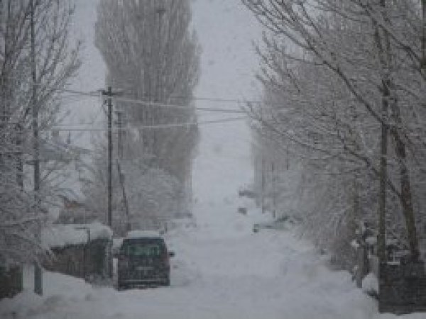 Bingöl son yılların en soğuk kışını yaşıyor
