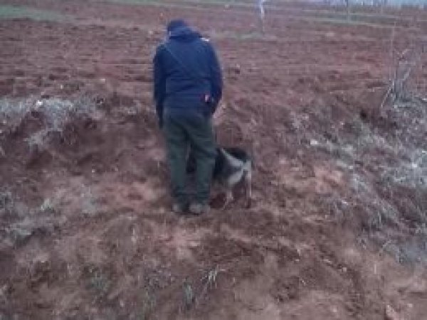 Antep'te 4 IŞİD'li yakalandı