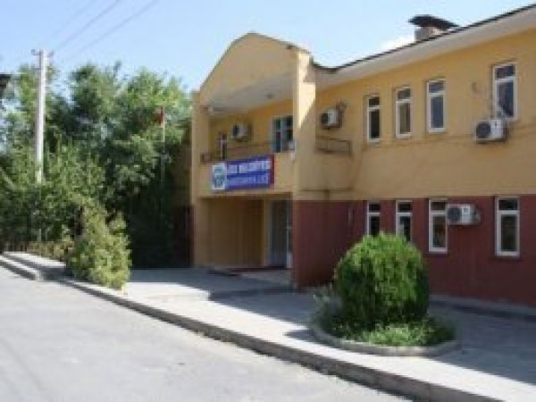 Lice Belediyesine kayyum atandı
